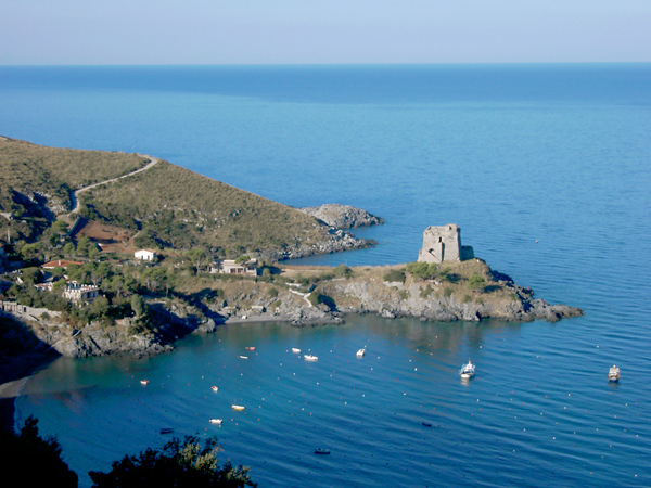 policastro-3