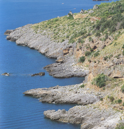 sapri-1