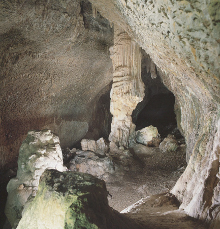 sapri-4